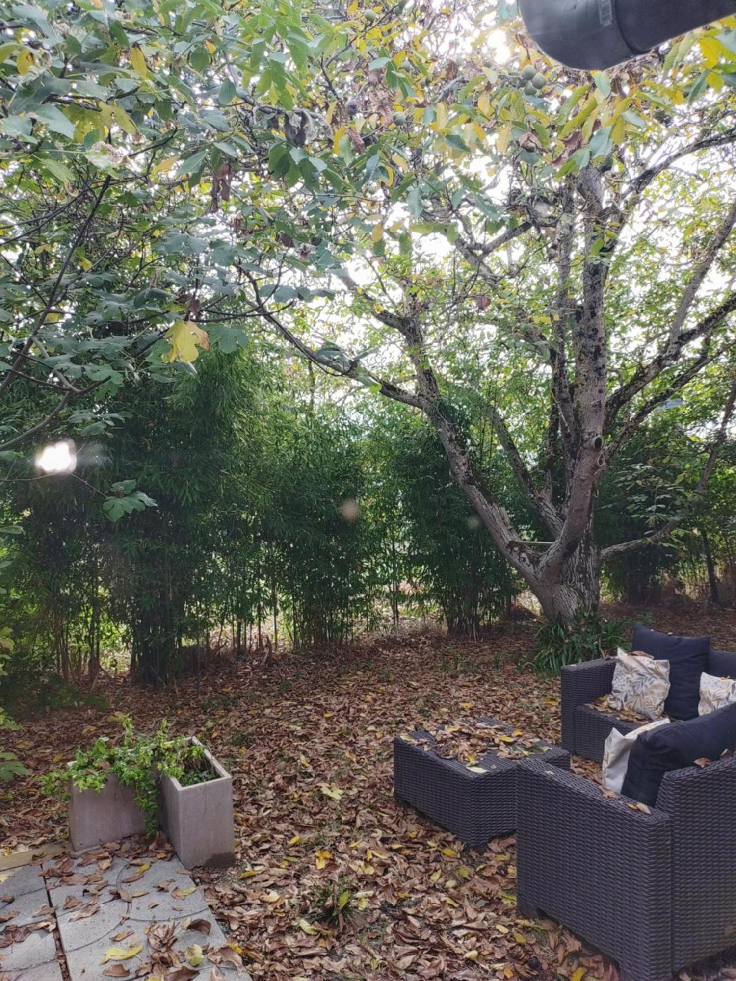 Dependance A La Campagne Cosy Et Calme Villa Teulat Ngoại thất bức ảnh